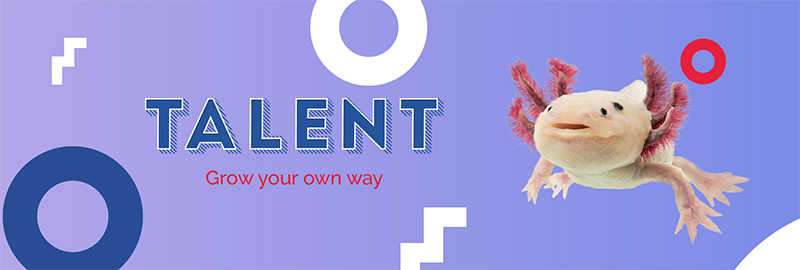 Talent-banner