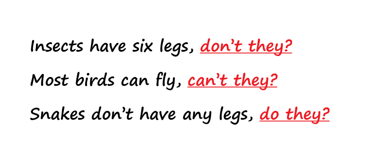 vocabulary animal groups 2